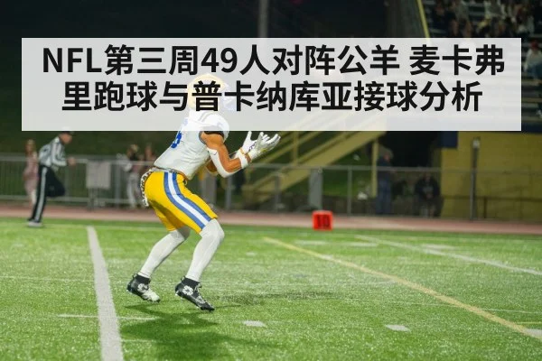 american football receiver catch