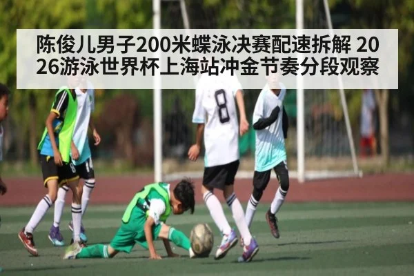 陈俊儿男子200米蝶泳决赛配速拆解 2026游泳世界杯上海站冲金节奏分段观察