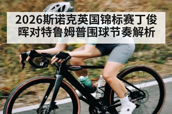 2026斯诺克英国锦标赛丁俊晖对特鲁姆普围球节奏解析